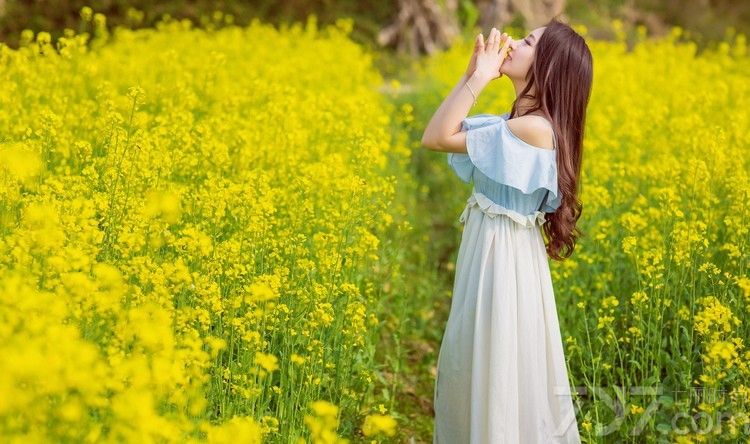 接近黄昏的阳光照亮了整片黄花，生机盎然的绿叶和花朵在风中微微摇曳着，迎合着女子翩跹的裙角。一席长裙甜美优雅，棕色的长卷发和露出香肩的雪纺，让她美丽的如同花仙子般。下面一起来看看清纯美女生活照图片，绿草映衬柔情花仙子。