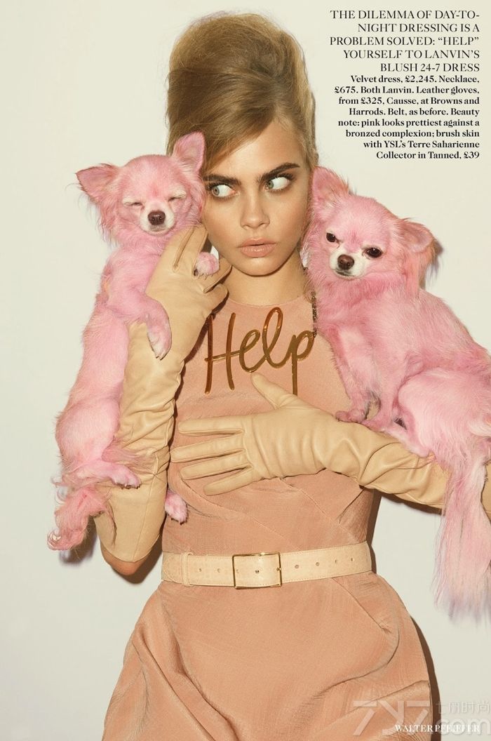 《Vogue》杂志英国版2013年9月刊封面人物为英国当红超模卡拉·迪瓦伊（Cara Delevingne），由著名瑞士摄影师Walter Pfeiffer掌镜，Francesca Burns造型。粉红套装、连衣裙和外套将卡拉装扮成一个“粉红女郎”，像个学生妹，亦或像朵玫瑰在绽放，充斥着妩媚的诱惑力。预计，明年秋季粉红色将会非常流行！