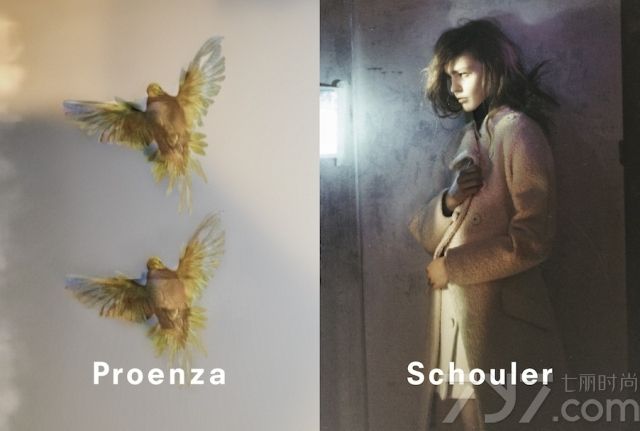 美国时尚品牌Proenza Schouler 2013秋冬时尚女装广告大片中，草摩Sasha Pivovarova的凌厉气质被抒发尽致，阴暗的画面与强势的设计风格被演绎得十分契合。Proenza Schouler的设计师Jack和Lazaro是两个头脑清楚、很有想法又十分有趣的年轻人。带着些许小聪明的时髦女孩们一定会喜欢Proenza Schouler的这个系列，因为这个摩登的系列会让女孩们看起来比以往的自己更时髦、更抢眼。