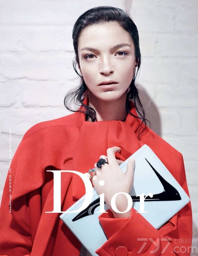 DIOR 迪奥2013秋冬时尚女装配饰广告大片。本次大片由Mariacarla Boscono与Elise Crombez两位超模演绎，摄影师Willy Vanderperre负责拍摄，简约干净的背景衬托出迪奥女装及配饰的优雅魅力。