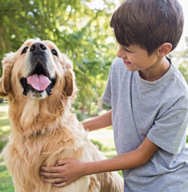 注射狂犬疫苗期间喝酒会怎样,打狂犬疫苗期间喝酒会怎样,接种狂犬疫苗时喝酒了会怎么样