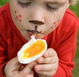 流鼻涕能吃鸡蛋吗,流鼻涕可以吃鸡蛋吗,流鼻涕能不能吃鸡蛋