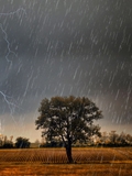 梦见狂风暴雨是什么意思,梦到狂风暴雨是什么意思,做梦梦见狂风暴雨